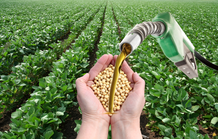 Governo prepara anúncio de mais biodiesel na mistura ao óleo diesel