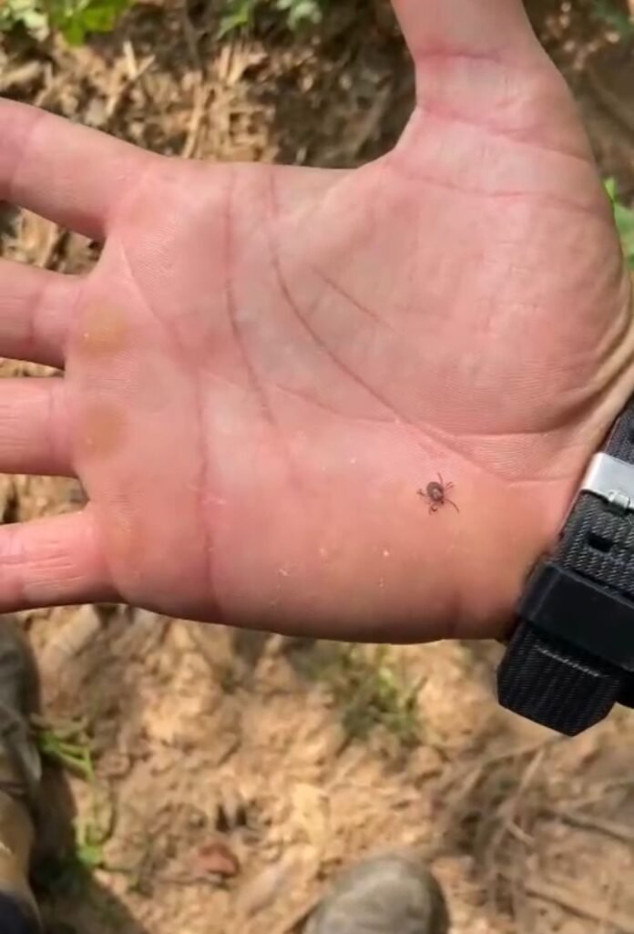 Vídeo de pescador com centenas de carrapatos viraliza