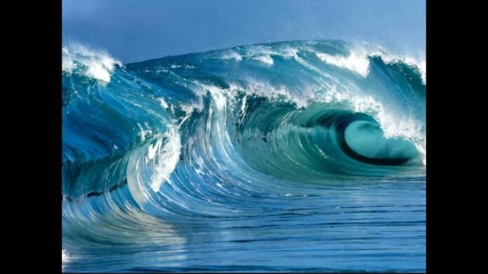 Reciclar plásticos do mar é preservar o ecossistema marinho Reciclar plásticos do mar é preservar o ecossistema marinho