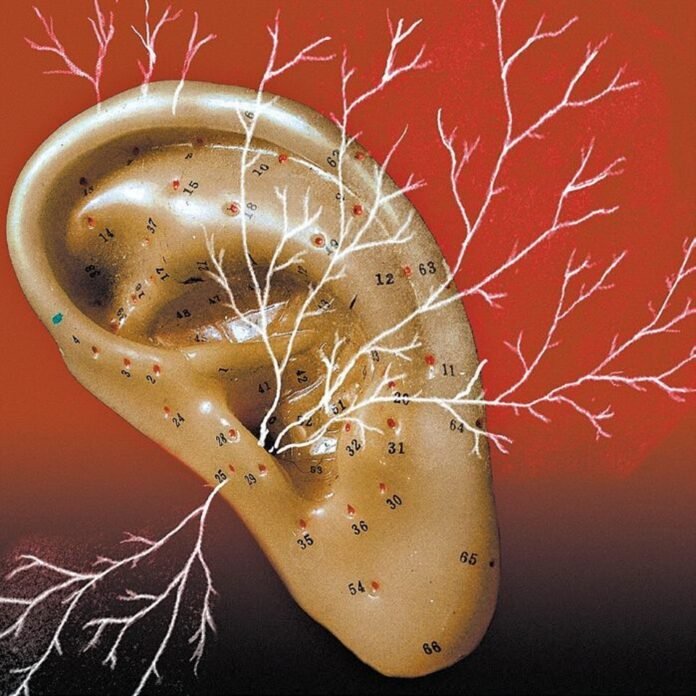 Poluição sonora prejudica a avaliação no Índice de Desenvolvimento Humano Poluição sonora prejudica a avaliação no Índice de Desenvolvimento Humano