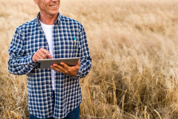 Pagamento rural exige atenção à segurança jurídica