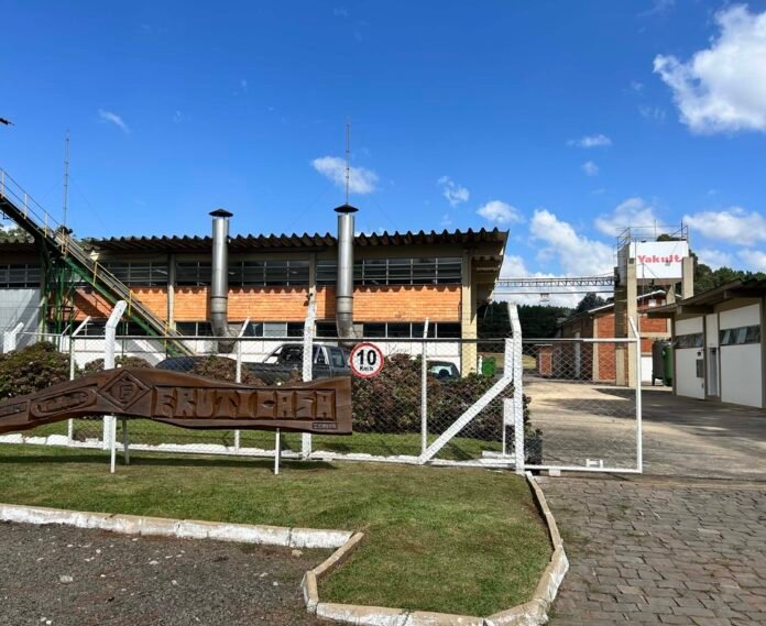 Fábrica da Yakult em Santa Catarina recebe certificação internacional