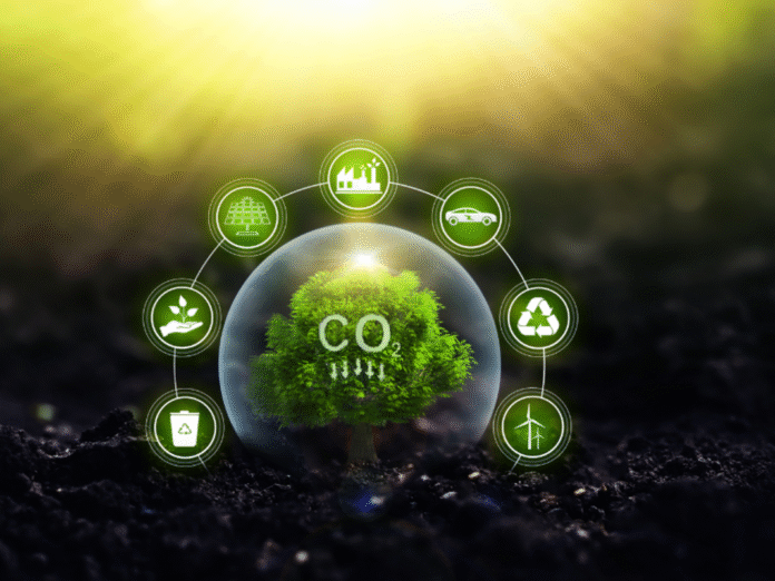 FutureClimate integra iniciativa global de remoção de CO₂ FutureClimate integra iniciativa global de remoção de CO₂