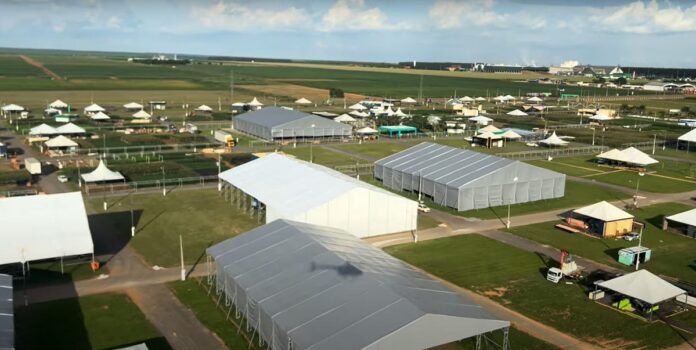 Galpões lonados ganham espaço no agronegócio Galpões lonados ganham espaço no agronegócio