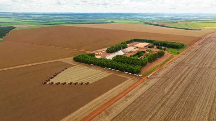Grupo Bom Jesus implementa novas práticas de governança Grupo Bom Jesus implementa novas práticas de governança