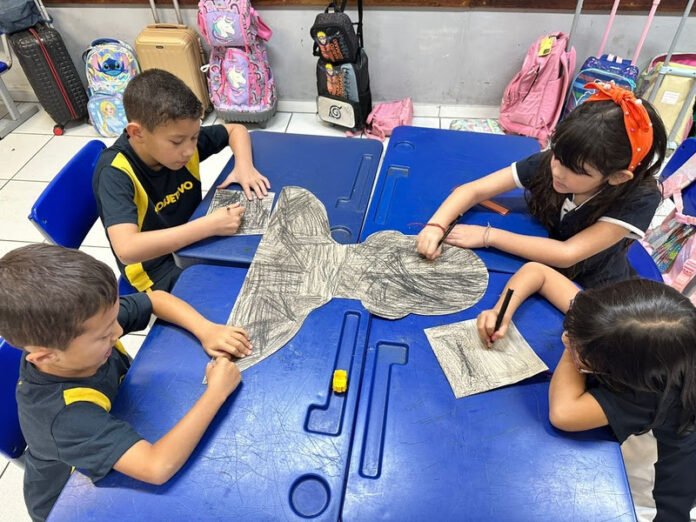 WhatsApp Image 2025-12-03 at 11.17.22