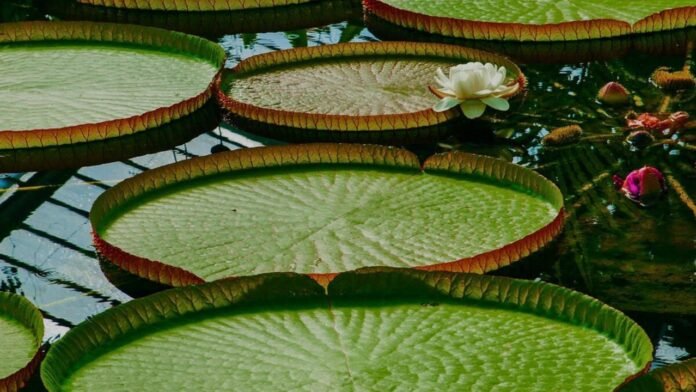 WhatsApp Image 2025-12-22 at 13.02.28