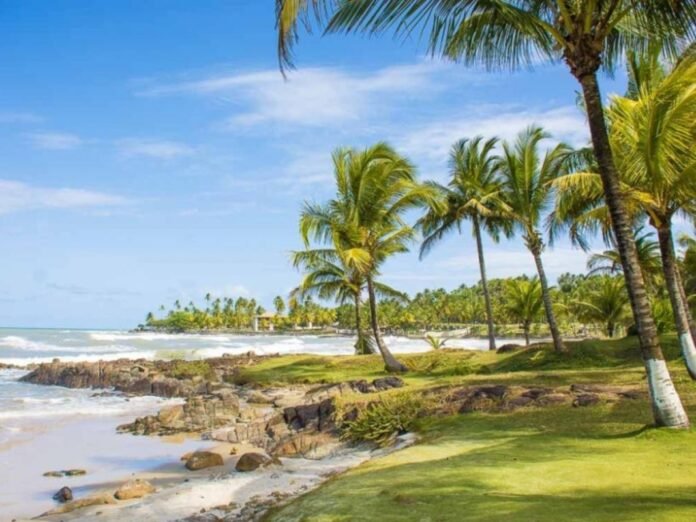 Ilhéus reforça sua oferta de passeios temáticos e atrai diferentes viajantes Ilhéus reforça sua oferta de passeios temáticos e atrai diferentes viajantes